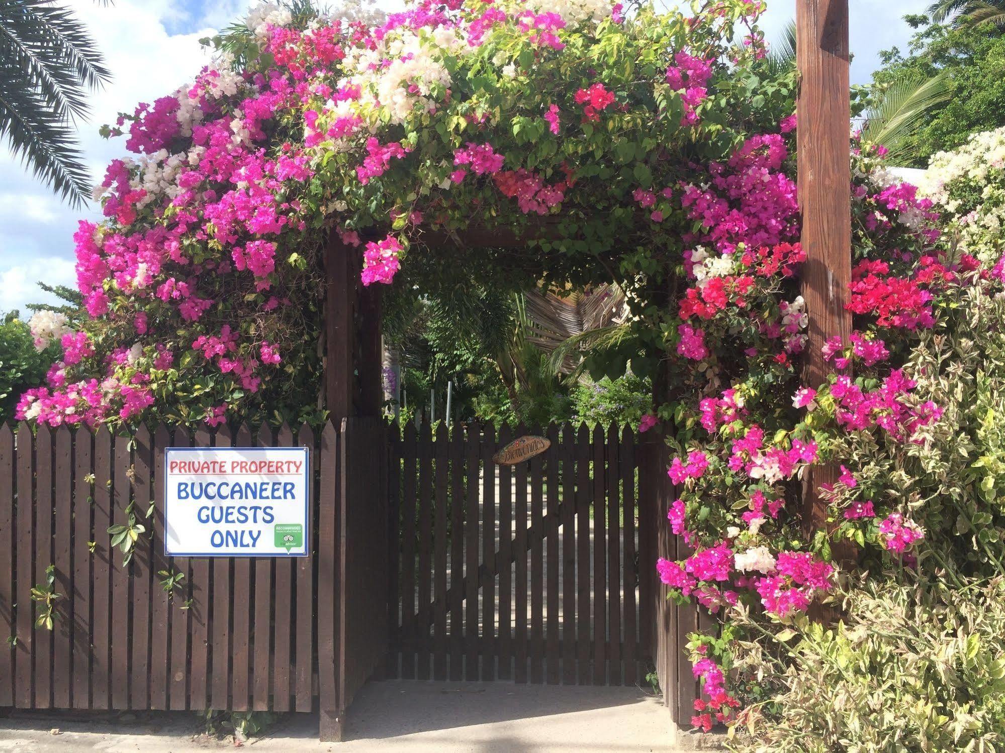 Buccaneer Beach Club Aparthotel Dickenson Bay Exterior photo